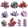 1Pc Artificial Succulent Plant Flower Arrangement DIY Bonsai Home Desktop Decor