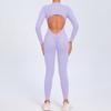 European & American Zipper Long Sleeve Yoga Jumpsuit - Women's Nude Feeling Fitness Bodysuit