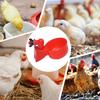 6/12pcs Chicken Water Dispenser Hanging Automatic Poultry Drinking Water Bowl Plastic for Farm Animal Feeding Supplies
