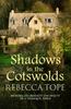 The Shadows In the Cotswolds : The Intriguing Cosy Crime Series Book