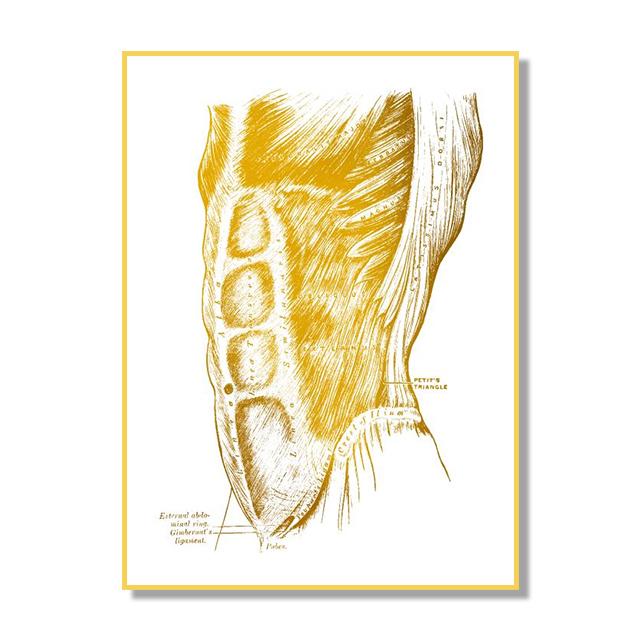 Структура костной ткани органов человека Плакат Золотой скандинавский ретро стиль Картина на холсте Гостиная Настенные художественные принты Современный домашний декор Без рамки
