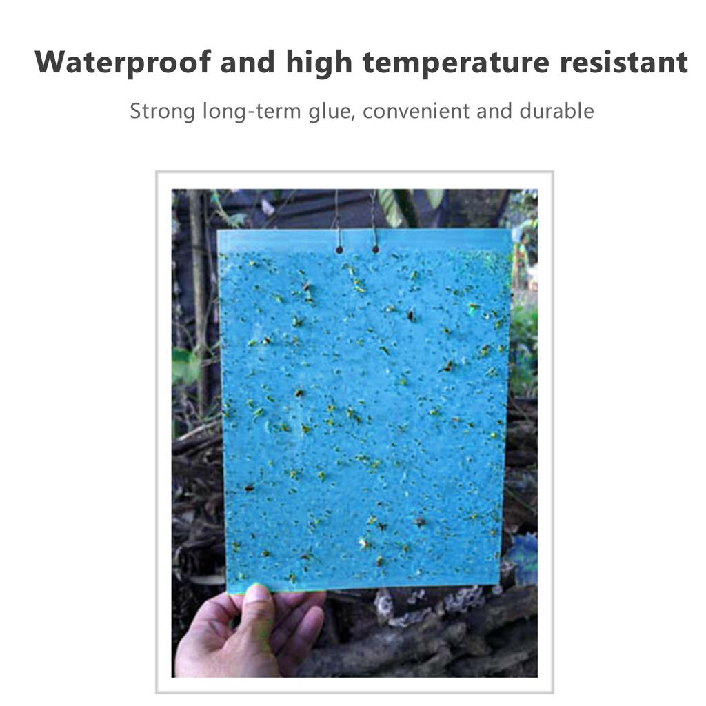 Липкие ловушки для летающих растительных насекомых, грибных комариков, 20 шт., 20*25 см, двусторонние ловушки для летающих насекомых, можно разрезать