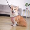 Dog Vest Harness With 1.4m Traction Rope Leash Set For Small Dogs Cat No Pull Outdoor Waterproof Puppy Yorkshire Pet Chest Strap Supplies