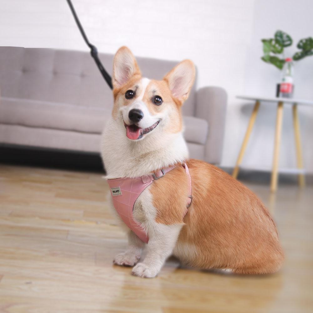 Dog Vest Harness With 1.4m Traction Rope Leash Set For Small Dogs Cat No Pull Outdoor Waterproof Puppy Yorkshire Pet Chest Strap Supplies