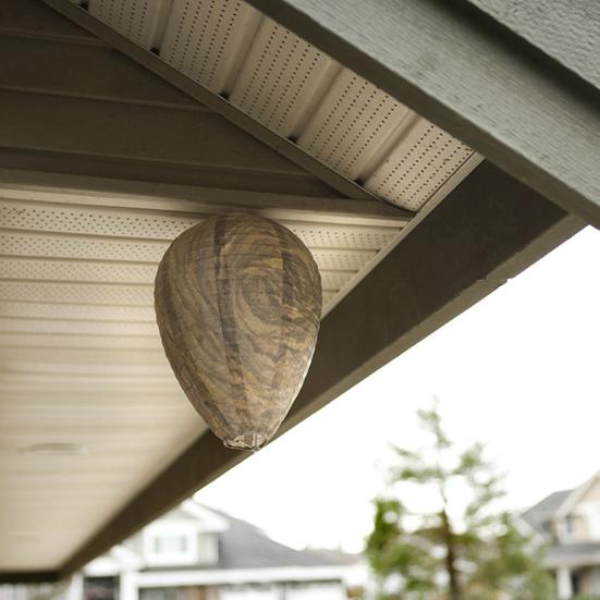 Осиный фонарь, реалистичный, безвредный, экологически чистый, простая установка, Осиное гнездо, приманка, водонепроницаемый, реалистичный репеллент от ос, садовые принадлежности