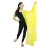 Chiffon Blend Dupatta Long Stole Women Neck Wrap Indian Scarves Chunni Beach