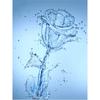 5D Diamond Painting Water Picture Of Rhinestones Diamond Embroidery Mosaic Rose Home Decoration
