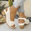 Ladies Shoes 2025 New Buckle Strap Women's Sandals Floral Casual Summer Hollow Out Plus Size Shallow Heeled Sandals