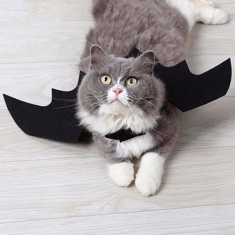 Pet Halloween Bat Wings Costume, Funny Cosplay Outfit for Dogs Cats Puppy Kittens, Black Felt Wings Pet Holiday Party Clothes