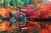 Epoch 1000 Piece Jigsaw Puzzle Japanese Landscape Autumn At Daigoji Temple - Kyoto (50 X 75cm) 10-813 with Glue and Spatula with Score Ticket EPOCH