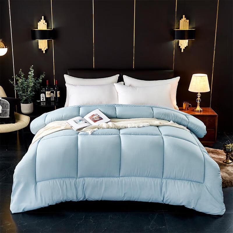 Gong Xian Sheng All-Season Warm Polyester Duvet