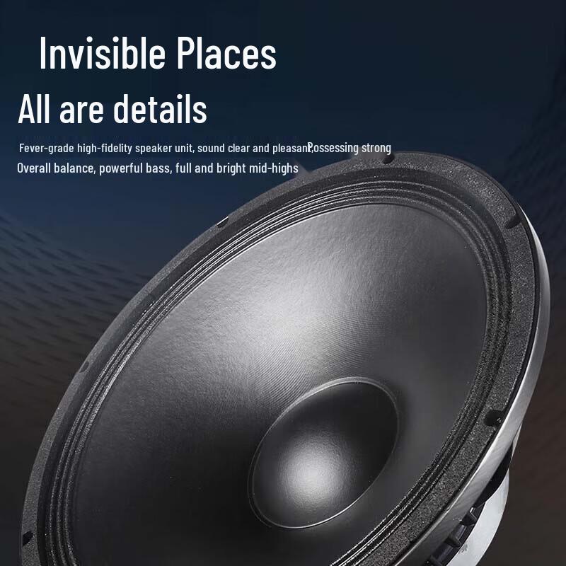 HuiDu ST-12CF Professional Stage Monitor Speaker