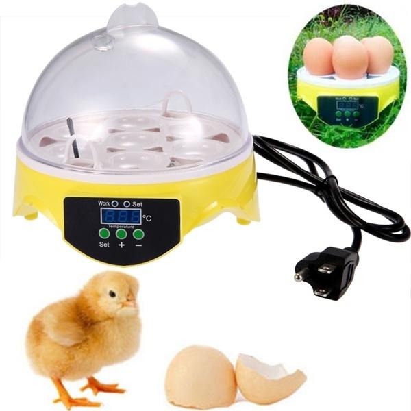 The Best Egg Incubator for 7PCS Chicken Eggs Automatic & Manual Turner