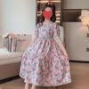 2024 Trendy Korean-Style Flower Princess Dress for Girls - Summer Edition