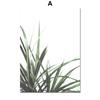 Abstract Green Plant Nature Leaf Wall Art Canvas Painting Nordic Posters And Prints Wall Art Pictures For Living Room Home Decor