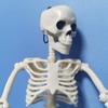Люди Активная модель скелета Анатомия Скелет Модель скелета Медицинское обучение Хэллоуин Вечерние украшения Скелет Художественный эскиз
