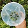 Plant Pot Transparent Thickened Large Capacity Breathable DIY Plant Plastic Permeable Tall Flower Pot Greenery Accessories
