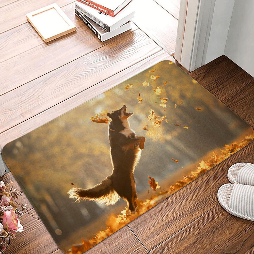 Floor Mat Entrance Door Mat Small Carpet Non-slip Door Mat Living Room Bathroom Kitchen Rug