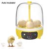 Household Automatic Poultry Tool Intelligent Temperature Poultry Incubator Chicken Duck Bird Pigeon Hatcher Plastic 137*180mm