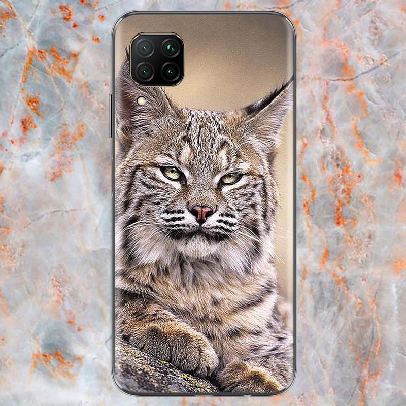 Милый чехол для телефона с милой канадской рысью для Huawei Mate 40 30 20 20X 10 RS P Smart 2021 2020 ZS Pro Plus Lite 2019