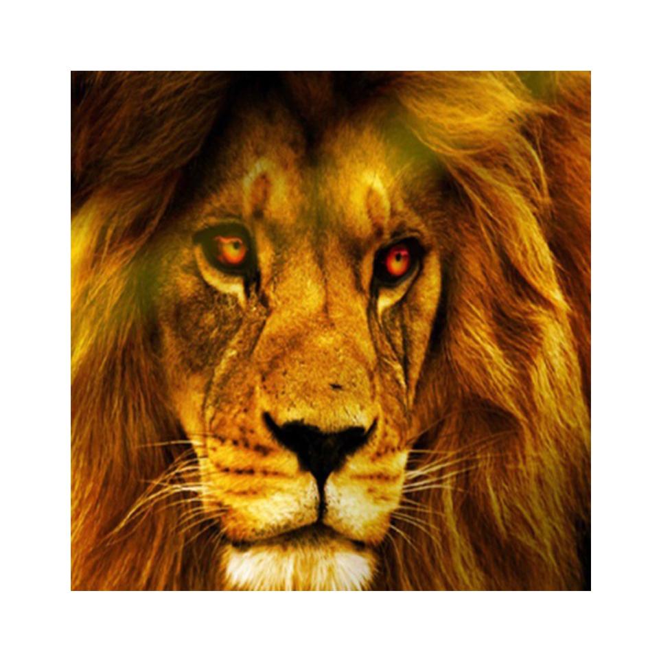 DIY 5D Лев алмазная живопись горный хрусталь картина полный круглый животное полная алмазная вышивка подарок мозаика вышивка крестиком украшения