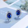 925 Sterling Silver Multi-color Round Crystal Zircon Earrings Anniversary Birthday Wedding Party Gift