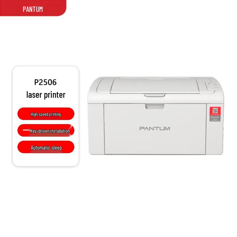 Монохромный лазерный принтер Pantum P2506 Штепсель CN (адаптер в комплекте)