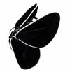 Velvet Fabric Butterfly Claw White Trim Shark Clip Fashion Hair Jaw Clip  Outdoor