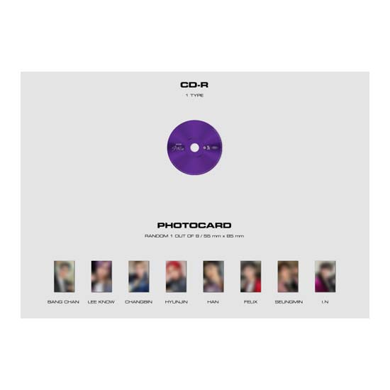 Stray Kids НЕОДИНАРНЫЙ ЧЕХОЛ ДЛЯ ДРАГОЦЕНИЙ Ver.