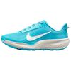 ACG PEGASUS TRAIL Беговые кроссовки Мужские Синие Белые HV8116-400
