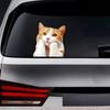 Two Thinking Cat Pack Vinyl Decal Sticker, Waterproof Poly Beer Covered for Cars, Laptops and Smooth Surfaces A098