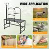 Goat and Sheep Stand 51x23 In Livestock Stand Metal Livestock Milking Shearing Stand 20.5" To 31" Adjustable Height Black