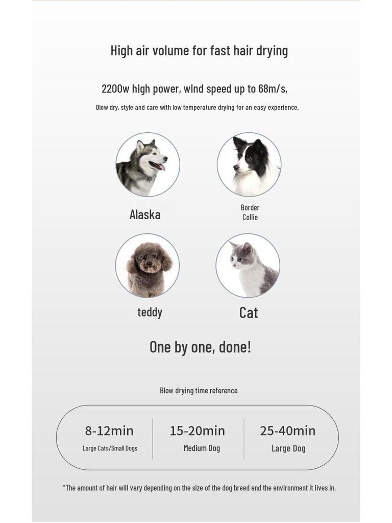 Фен для домашних животных: Высокомощная сушилка для шерсти собак и кошек с функцией обдува и всасывания