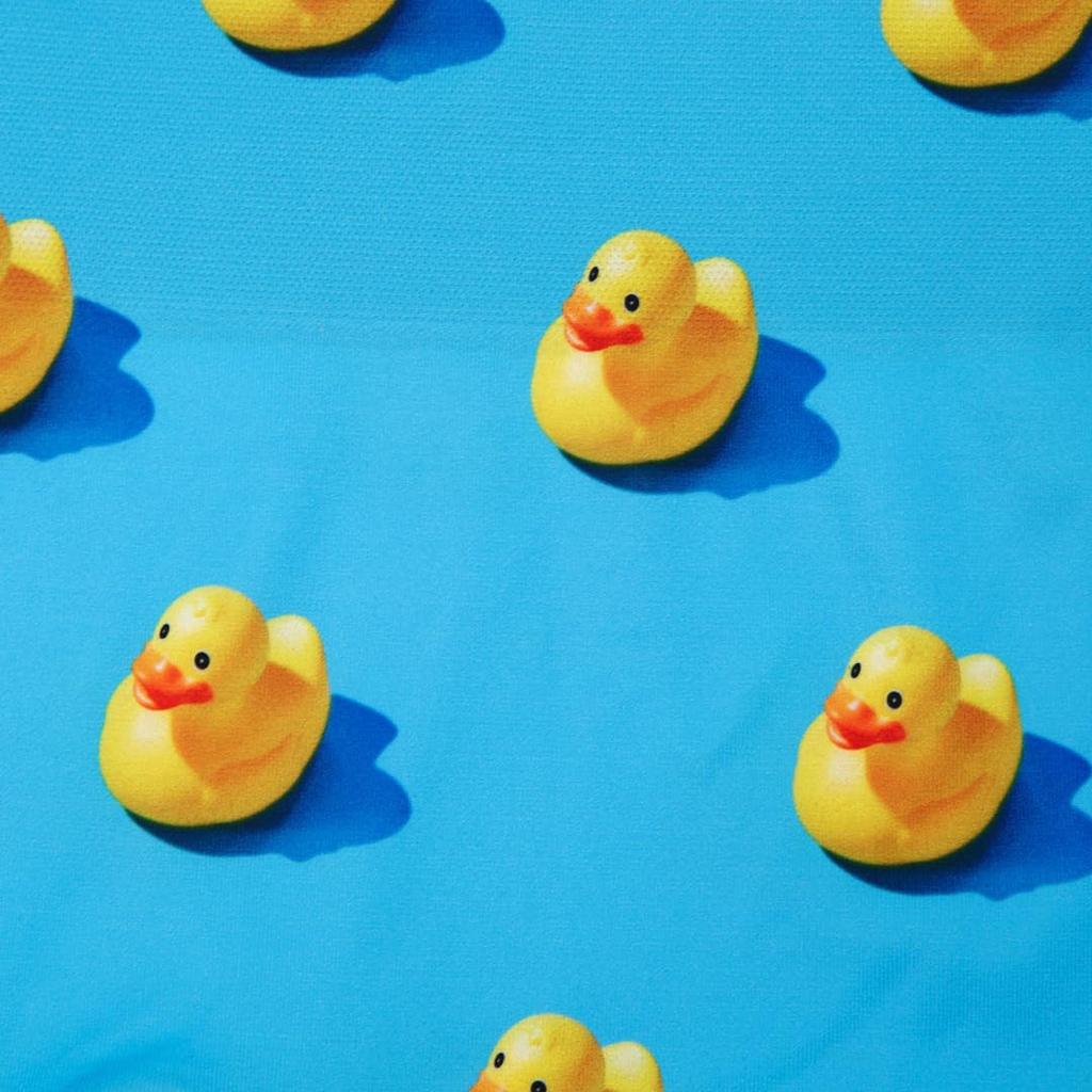 Hip Shop Men's Pop Underwear, Duck, Size L