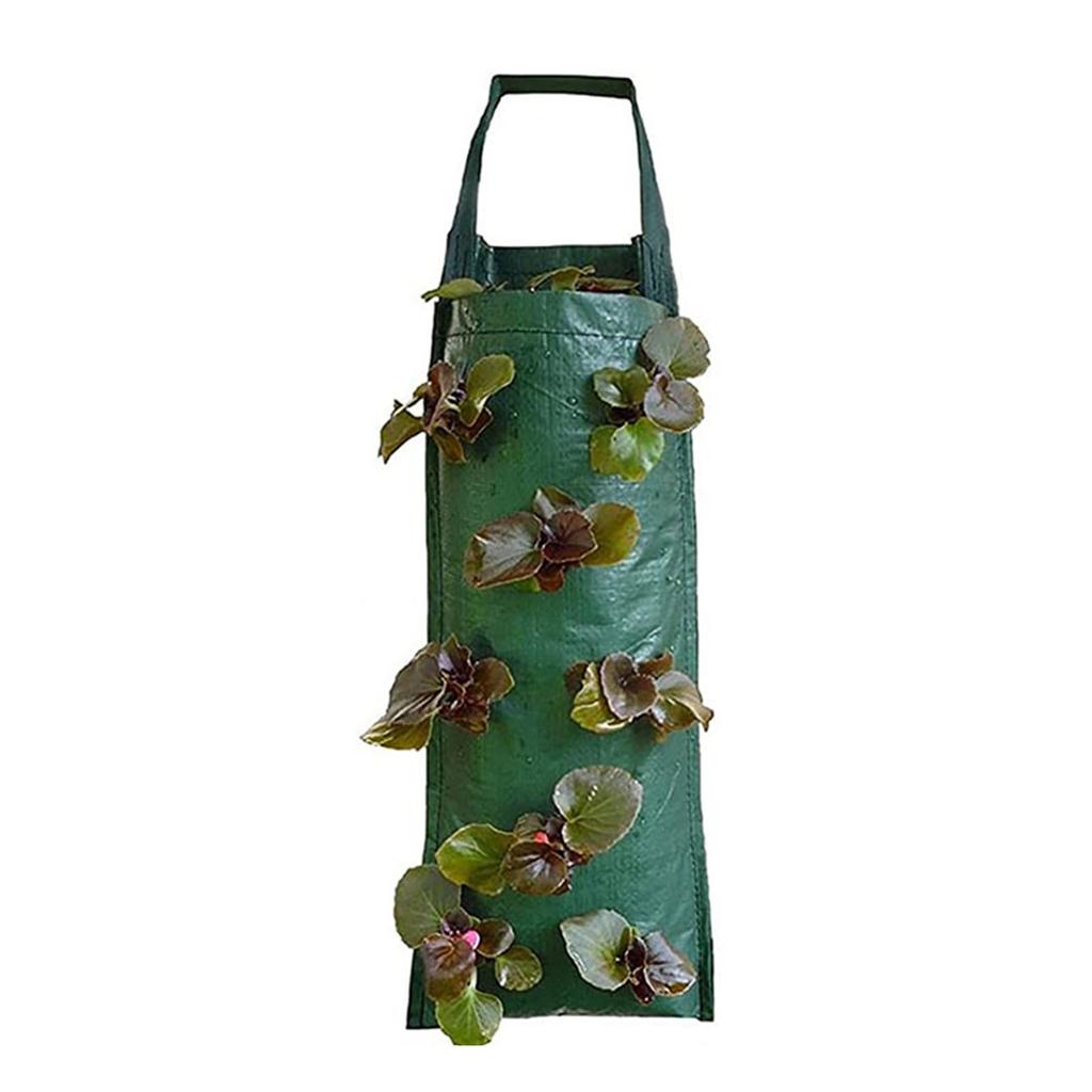 Настенный мешок для посадки, настенный контейнер для выращивания цветов