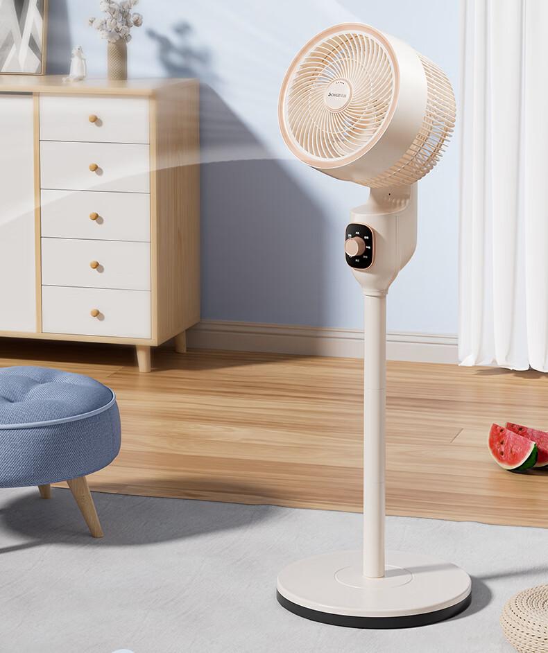 CHIGO Air Circulation Fan