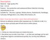 100PCS Cute Mix Animals Graffiti Stickers DIY Laptop Phone Guitar Notebook Suitcase Cup Waterproof Cartoon Sticker Kids Toy