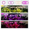 USB Plant Grow Light With Circular Memory Timing Function 8H 12H 16H Timer Modes For Indoor Plant