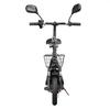 Electric Scooter Twofish M5 Pro 500W Motor Dual Disc Brakes 12" Tire With EEC Certification E-Scooter 48V 13Ah Max Range 30Km