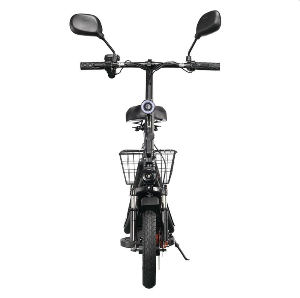 Electric Scooter Twofish M5 Pro 500W Motor Dual Disc Brakes 12" Tire With EEC Certification E-Scooter 48V 13Ah Max Range 30Km