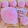Розовый Паровой Банг Сквиши Игрушка Медленно Поднимающаяся Сенсорная Игрушка-Антистресс для Тревожности СДВГ Аутизма Подарки для Детей Взрослых АСМР
