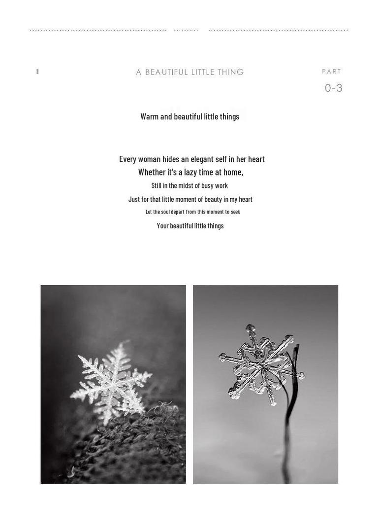 Серьги-пусеты 'Снежинки' из стерлингового серебра 925 пробы - Элегантный корейский стиль, Идеальный подарок на Рождество или день рождения для женщин