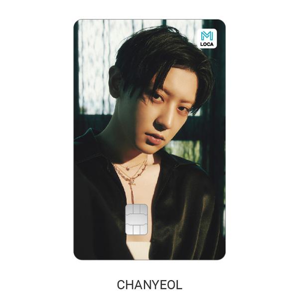 EXO Транспортная карта Loca Mobility - EXIST