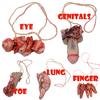 Halloween Decoration Scary Bloody Fake Latex Arm Hand Foot Heart Brain Finger 