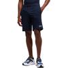 Emporio Armani EA7 Полосатые Повседневные Шорты Три Четверти Мужские шорты Синий 8NPS65-PJVRZ-1562