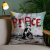 Наволочка из короткого плюша Banksy Уличное граффити Арт Наволочка Защита от пылевых клещей Невидимая молния Шелковистый короткий плюс