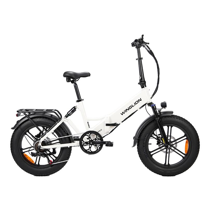 Foldable Electric bike PULUMA ebike-FF2.0.48 V 15AH, Double suspension Fork, 20*4.0 wide tires, 80 km assisted range, urban commuting Electric bike
