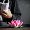 Керамическая печь для благовоний Lotus, держатель для благовоний из нити, точка ароматизации, благовония из сандалового дерева, украшение для дома Chenxiang