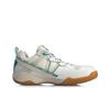 Li Ning Invincible No. ACE Cushioning Slip Resistant Abrasion Resistant Rebound Low top Badminton Shoes Men's AYAQ015-2