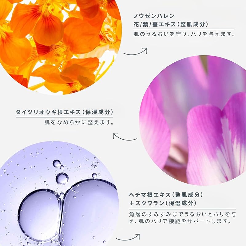 Дермалоджика (Дермалоджика) Крем PhytoN OXG 50 мл увлажняющий крем для ухода за кожей лица Hari Содержит растительные ингредиенты без парабенов без спирта